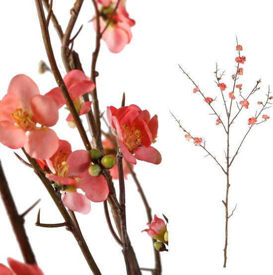 PTMD Blossom bloem pink cherry blossom s