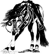 Raam / Muur / Auto / Indoor / Outdoor / Trailersticker - dressuurpaard - paardensticker - westernpaard - cowboy - spinning horse
