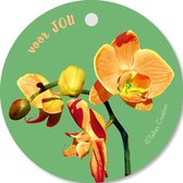 Tallies Cards - kadokaartjes  - bloemenkaartjes - Voor jou - Flowerpower - set van 5 kaarten - motivatie - aardigheidje - inspiratie - 100% Duurzaam