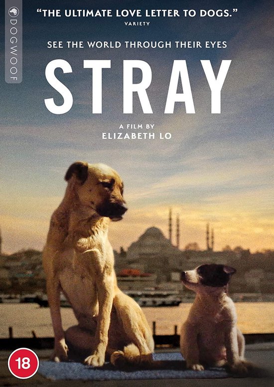 Stray [Blu-ray] [2021]