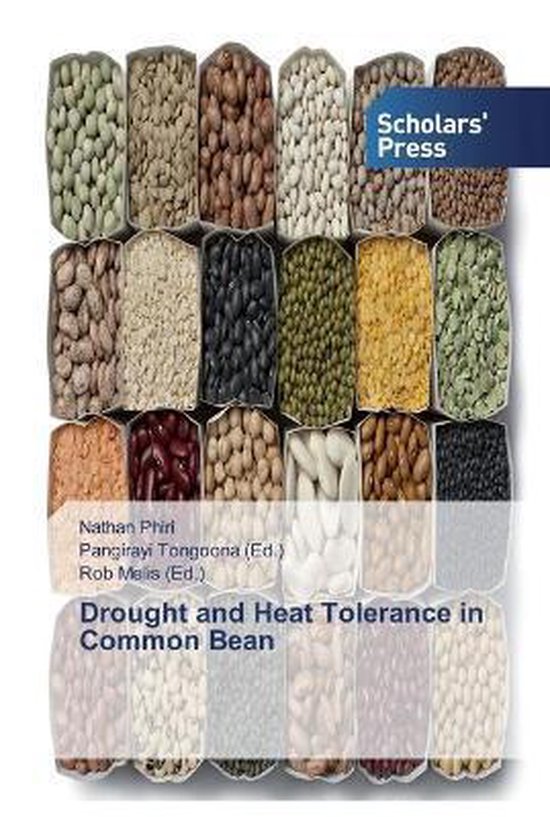 Drought and Heat Tolerance in Common Bean 9786138839958 Nathan Phiri Boeken