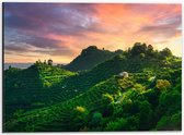 Dibond - Prosecco Bergen in Italië  - 40x30cm Foto op Aluminium (Met Ophangsysteem)