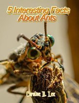 5 Interesting Facts About Ants