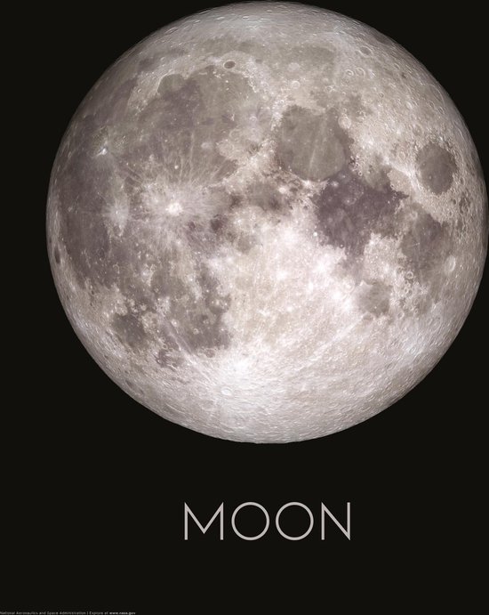 The Moon Art Print | Poster