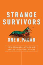 E-book