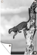 Tuindecoratie Springend luipaard - zwart wit - 40x60 cm - Tuinposter - Tuindoek - Buitenposter