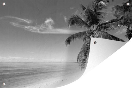Tuinposter - Tuindoek - Tuinposters buiten - Tropisch beeld met een strand en palmbomen - zwart wit - 120x80 cm - Tuin