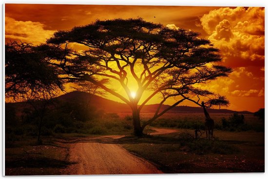 Forex - Grote Boom met Giraffe - 60x40cm Foto op Forex