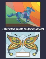 Large Print Adults Colour by Number