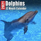 Mini Calendar 2021 Dolphins