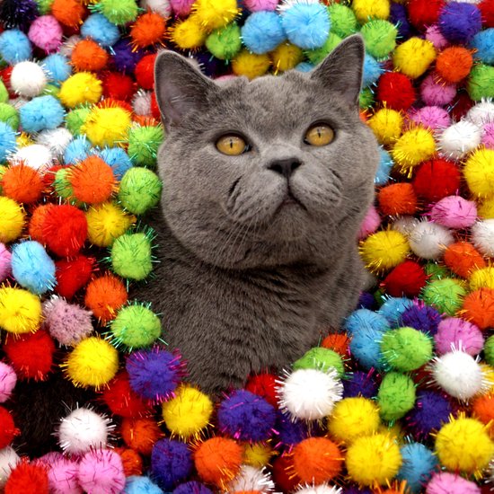 cobee Grote kat speelgoedballen, 4 cm zachte kitten pompons bal harige kat ballen speelgoed indoor katten interactief bal spelen speelgoed 30 stuks cobee Grote kat speelgoedballen, 4 cm zachte kitten pompons bal harige kat ballen speelgoed indoor katten interactief bal spelen speelgoed 30 stuks