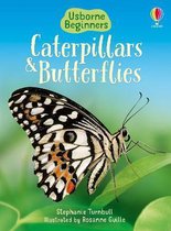 Beginner Caterpillars & Butterflies