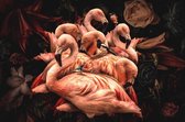 Exclusive - Dieren - Flamenco Rosa (Liggend) - 98x148cm - Glasschilderij - Wanddecoratie & Schilderijen