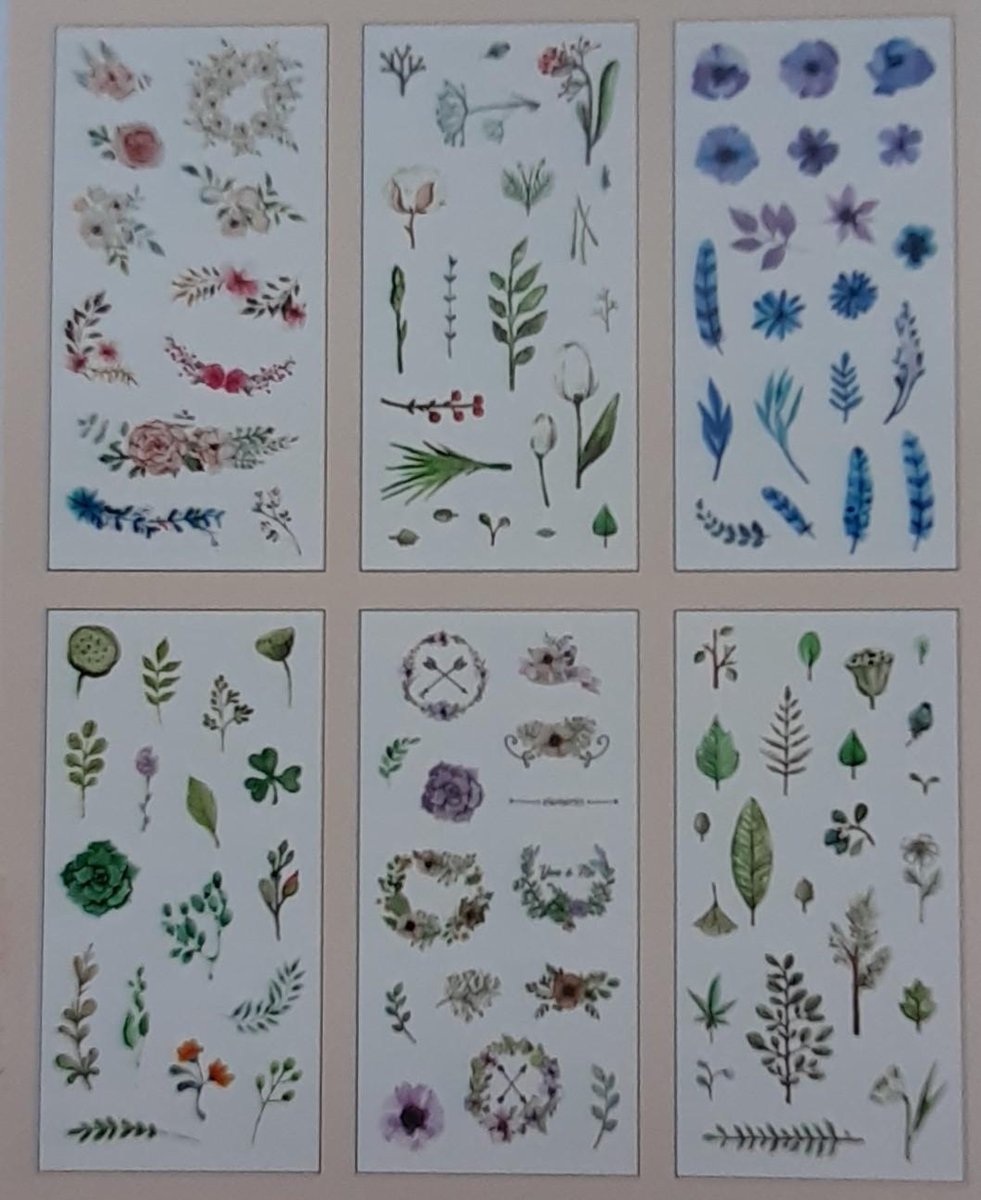 Washi Stickers Planten - 6 Vellen Met Stickers - Thema Planten en Bladeren - Bullet Journal - Stickers Voor Volwassenen - Scrapbooking - Agenda Stickers - Decoratie Sticker Washi Tape — afbeelding 3