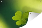 Tuinposters buiten Klavers op groene achtergrond - 90x60 cm - Tuindoek - Buitenposter
