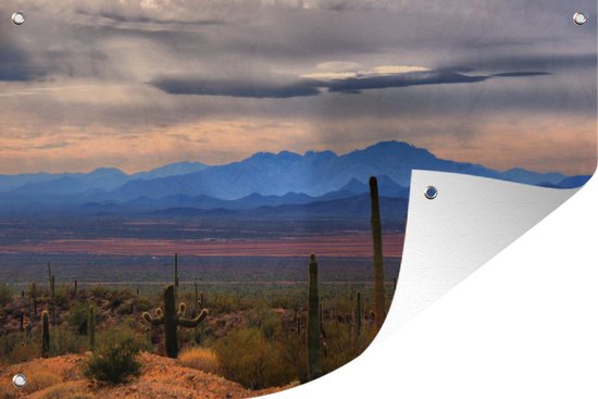 Muurdecoratie Sonoran woestijn Mexico foto afdruk - 180x120 cm - Tuinposter - Tuindoek - Buitenposter
