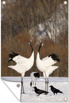 Tuindecoratie Twee Japanse kraanvogels doen een paringsdans in de sneeuw - 40x60 cm - Tuinposter - Tuindoek - Buitenposter