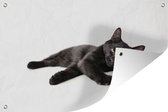 Affiche de jardin chat noir couché toile lâche 90x60 cm - Toile de jardin / Toile d'extérieur / Peintures pour l'extérieur (décoration de jardin)