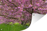 Tuinposters buiten Kersenboom - Bloesem - Roze - 90x60 cm - Tuindoek - Buitenposter