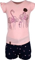 Babes & Binkies Setje Flamingos Roze Kids Roze, Blauw - Maat 98/104