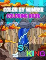 Color By Number Coloring Book