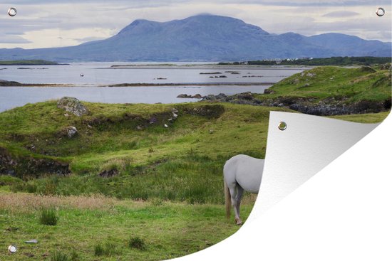 Tuinposter - Tuindoek - Tuinposters buiten - Moeder paard en veulen in Ierland - 120x80 cm - Tuin