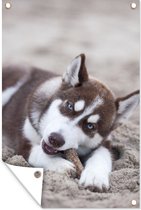 Muurdecoratie Husky puppy op het strand - 120x180 cm - Tuinposter - Tuindoek - Buitenposter