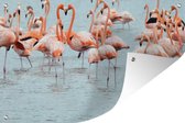 Tuindecoratie Een groep flamingo's in het water - 60x40 cm - Tuinposter - Tuindoek - Buitenposter