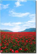 MuurMedia – Nature Collectie - Tuindoek - 95x130 cm – Veld vol met klaprozen - tuinposter - tuin decoratie - tuinposters buiten – tuinschilderij