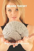 Brains Theory: Understanding Your Brain