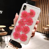 Daisy Pattern Real Dried Flowers Transparante Soft TPU Cover voor iPhone XR (Rood)