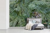 Behang - Fotobehang Verstopte tijger tussen de planten - Breedte 420 cm x hoogte 280 cm