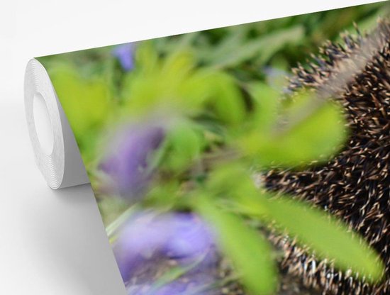 Papier peint photo peint vinyle - Hérisson derrière les fleurs largeur 450 cm x hauteur 300 cm - Tirage photo sur papier peint (disponible en 7 tailles)