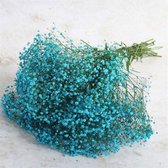 Gedroogde Gypsophila Decoratie voor binnenhuis -  - Blauw