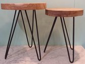 Boomstam bijzettafel bij Mies. Suar, doorsnee 40cm, 50cm hoog. Hout met metaal.