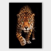 Poster Wild Leopard - Plexiglas - Meerdere Afmetingen & Prijzen | Wanddecoratie - Interieur - Art - Wonen - Schilderij - Kunst