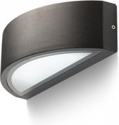 WhyLed Wandlamp buiten | Zwart/Zilvergrijs/Wit | E27 Fitting | 26W | IP54 | Ledverlichting