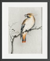 Poster met vogelprent - Japanse pestvogel op tak - Ohara Koson - 30x40 cm - Stevig papier - Zonder lijst