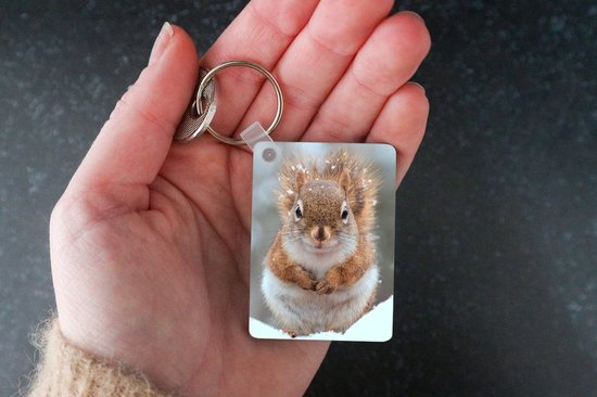 Porte-clés Écureuils en hiver - Un gros plan d'un écureuil en hiver Porte-clés en plastique - Porte-clés rectangulaire avec photo