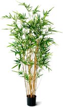 Bamboe bont 170cm