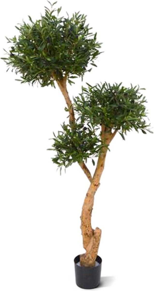 maxifleur Kunstplanten Olijf Bonsai deluxe x3 kunstboom 160cm Groen