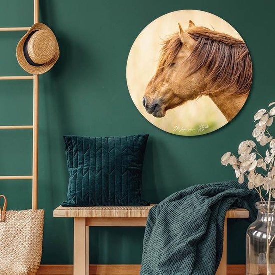 Sticker Muursticker cheval Konik Ø 130 cm