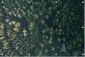 Droneshot van een bos - Foto op Tuinposter - 225 x 150 cm