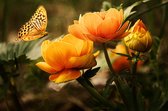 Bloem met vlinder tuinposter los doek 120x80 cm - Tuindoek / Schilderij voor buiten / Tuindecoratie