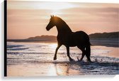 Canvas  - Silhouet van Paard Sjokkend over Strand - 90x60cm Foto op Canvas Schilderij (Wanddecoratie op Canvas)