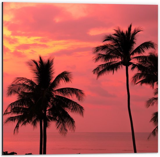 Dibond - Silhouet van Palmbomen voor Roze Lucht - 50x50cm Foto op Aluminium (Met Ophangsysteem)