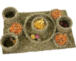 Rosewood Naturals Hide 'n' Treat Maze - Natuurlijk Knaagdier Speelgoed