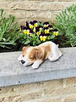 Slapende puppy Jack Russel 6 cm hoog - polyester - polystone - beeld - tuinbeeld - hoogkwalitatieve kunststof - decoratiefiguur - interieur - accessoire - voor binnen - voor buiten - cadeau - geschenk
