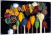 Tuinposter – Lepels met Kruiden en Vruchten - 150x100cm Foto op Tuinposter  (wanddecoratie voor buiten en binnen)
