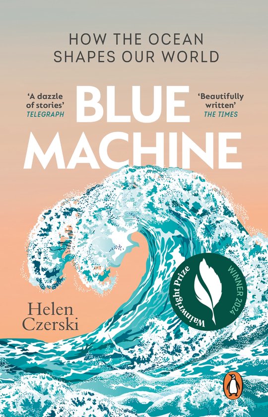 Blue Machine - cover